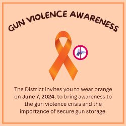 Gun Violence Awareness